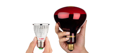 Incandescent or LED: Why Not Both?