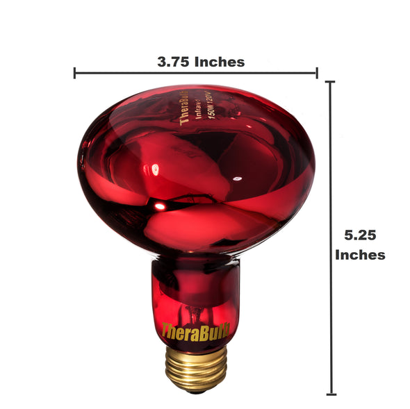 Near Infrared Bulb - 150 Watt - (240 Volt for Europe, Asia, Africa, Oceania)